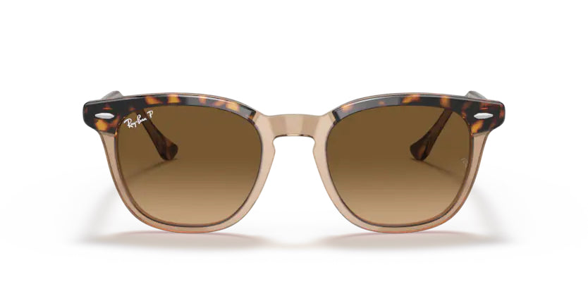 Ray-Ban Hawkeye- Havana on Transparent Brown - biket.co.za