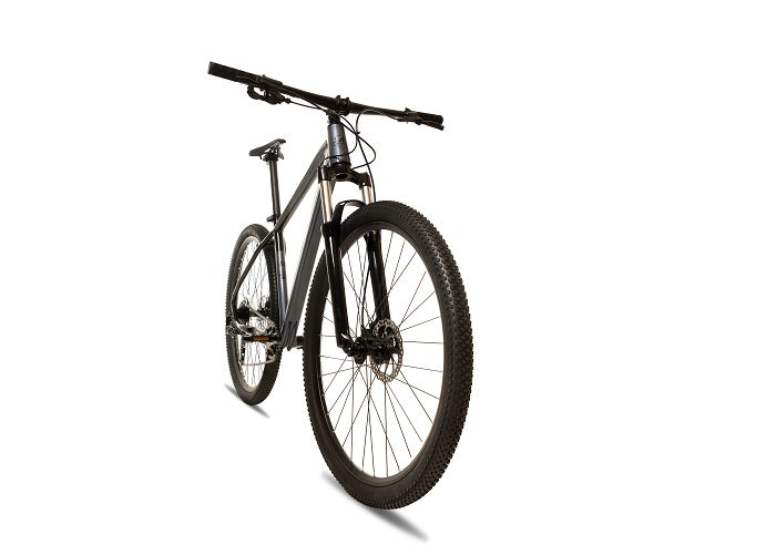Avalanche REFLEX 29ER SPORT - biket.co.za