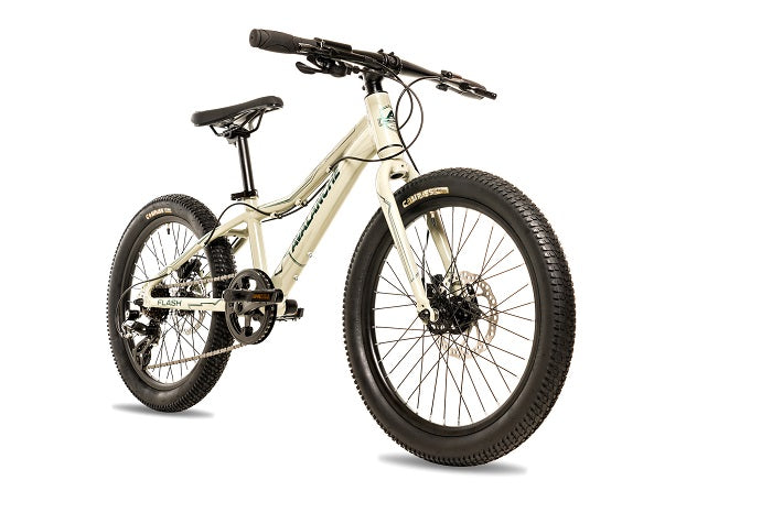 Avalanche Flash 20" Disc - biket.co.za