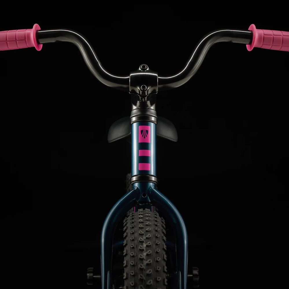 
                  
                    2024 Trek Precaliber 16 Coaster Brake - Dark Aquatic - biket.co.za
                  
                