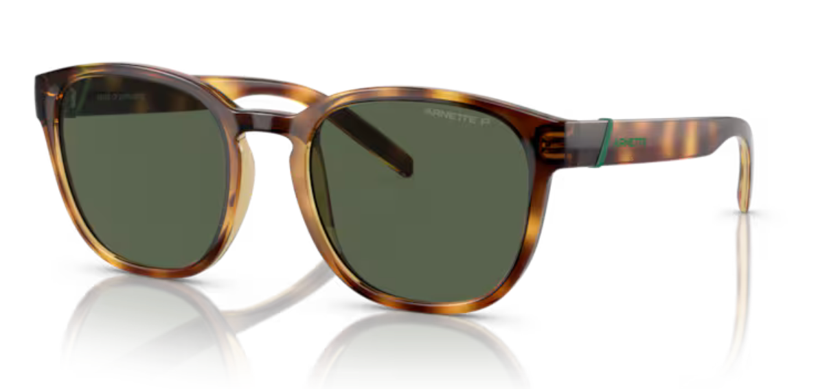 Arnette Barranco- Dark Havana Polarized Dark Green - biket.co.za