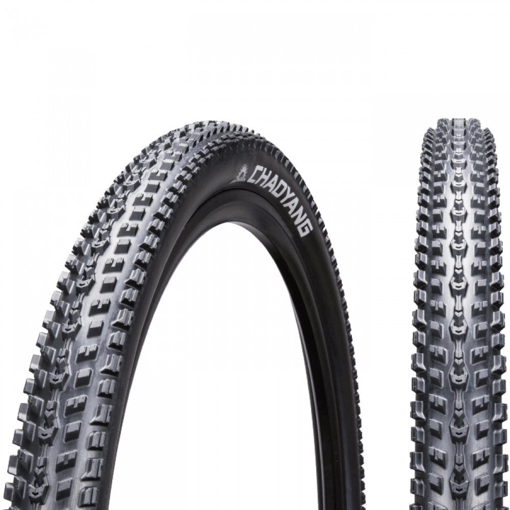 Chaoyang Hornet 29X2.1 - biket.co.za
