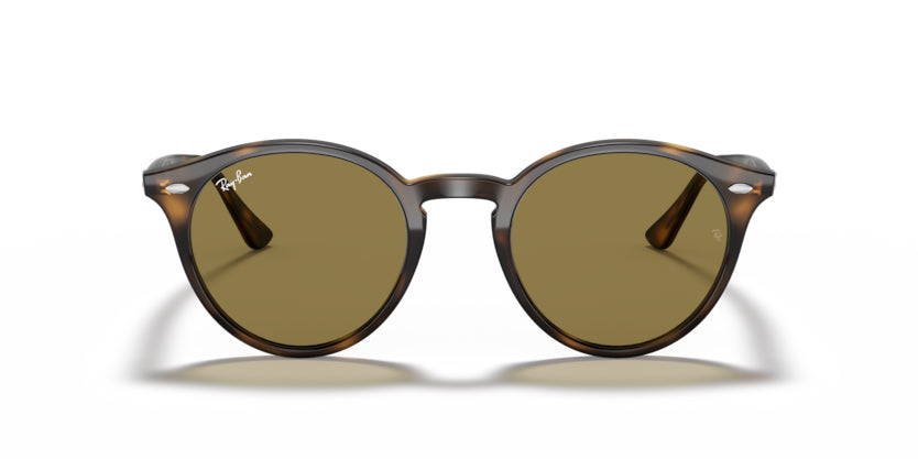 Ray-Ban Tortoise Light Havana - biket.co.za