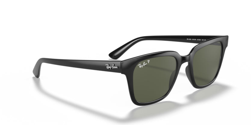 Ray-Ban Black - biket.co.za